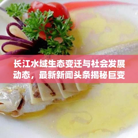 长江水域生态变迁与社会发展动态，最新新闻头条揭秘巨变之旅