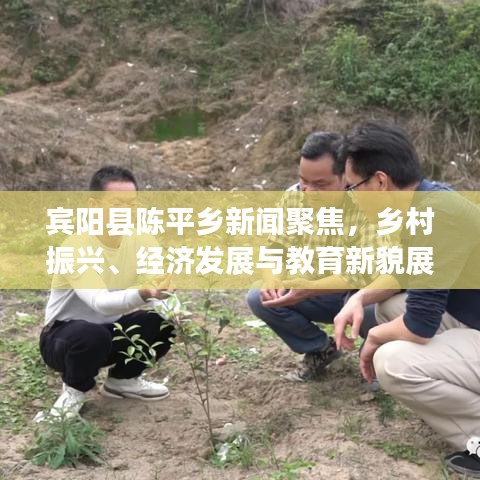 2025年5月6日 第33页