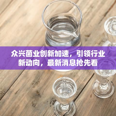 众兴菌业创新加速，引领行业新动向，最新消息抢先看