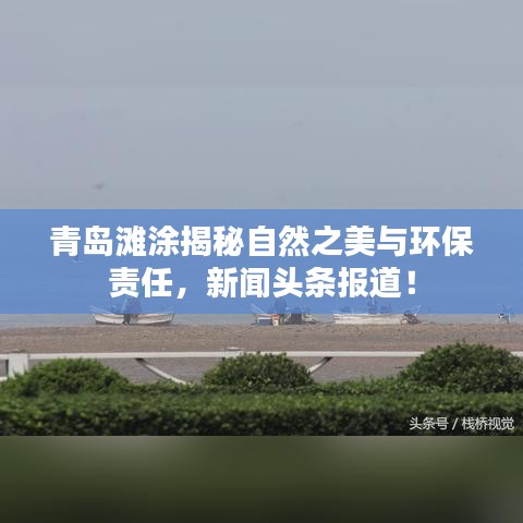 2025年5月6日 第3页