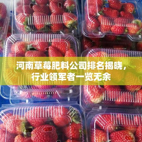 河南草莓肥料公司排名揭晓，行业领军者一览无余