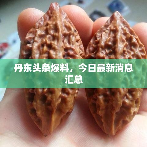 丹东头条爆料，今日最新消息汇总