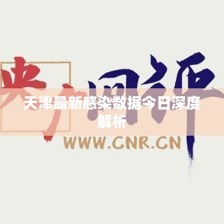 天津最新感染数据今日深度解析