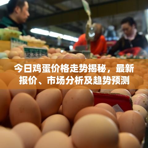 今日鸡蛋价格走势揭秘，最新报价、市场分析及趋势预测