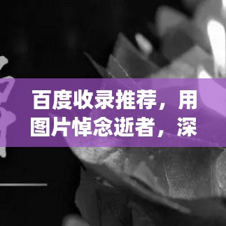 百度收录推荐，用图片悼念逝者，深情缅怀逝去的亲人！