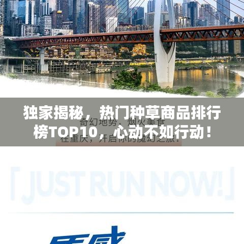 独家揭秘，热门种草商品排行榜TOP10，心动不如行动！