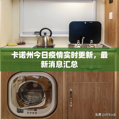 卡诺州今日疫情实时更新，最新消息汇总