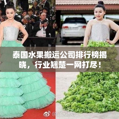 泰国水果搬运公司排行榜揭晓，行业翘楚一网打尽！