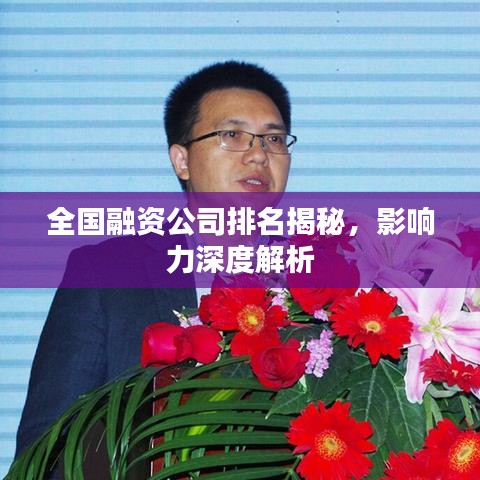 全国融资公司排名揭秘，影响力深度解析