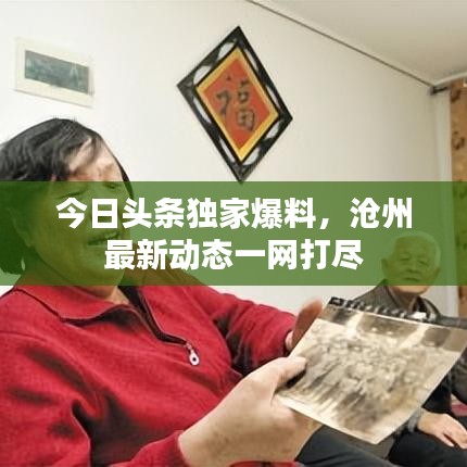 今日头条独家爆料，沧州最新动态一网打尽
