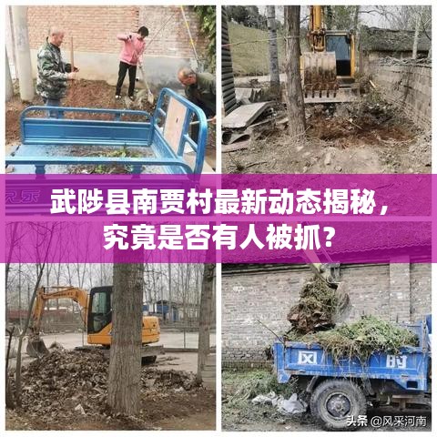 武陟县南贾村最新动态揭秘，究竟是否有人被抓？