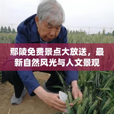 鄢陵免费景点大放送，最新自然风光与人文景观一网打尽