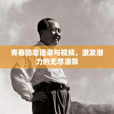 青春励志语录与视频，激发潜力的无尽源泉