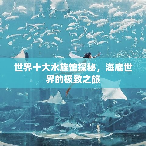世界十大水族馆探秘，海底世界的极致之旅