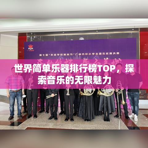 世界简单乐器排行榜TOP，探索音乐的无限魅力