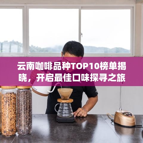 云南咖啡品种TOP10榜单揭晓，开启最佳口味探寻之旅