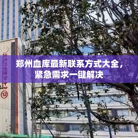 郑州血库最新联系方式大全，紧急需求一键解决