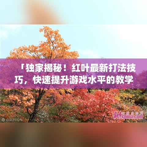 「独家揭秘！红叶最新打法技巧，快速提升游戏水平的教学视频」