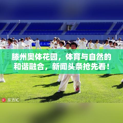 滕州奥体花园，体育与自然的和谐融合，新闻头条抢先看！
