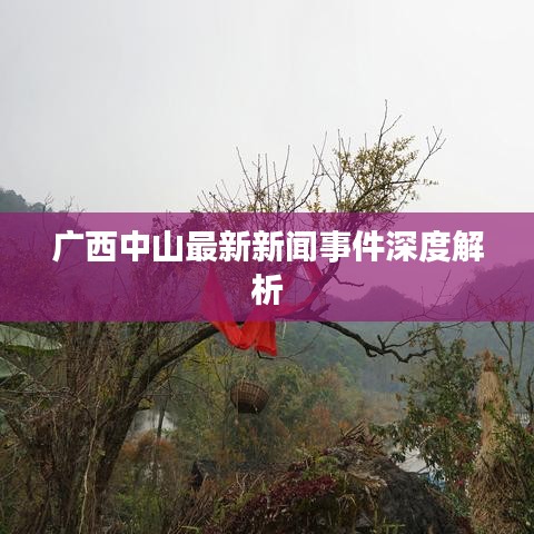 广西中山最新新闻事件深度解析