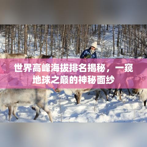 世界高峰海拔排名揭秘，一窥地球之巅的神秘面纱