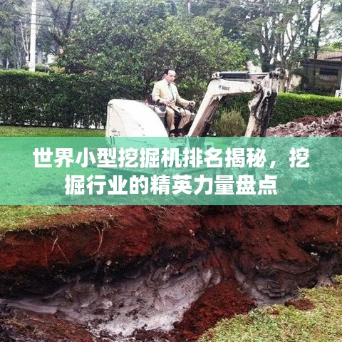 世界小型挖掘机排名揭秘，挖掘行业的精英力量盘点