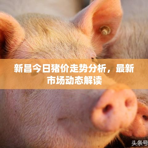 2025年5月8日 第26页