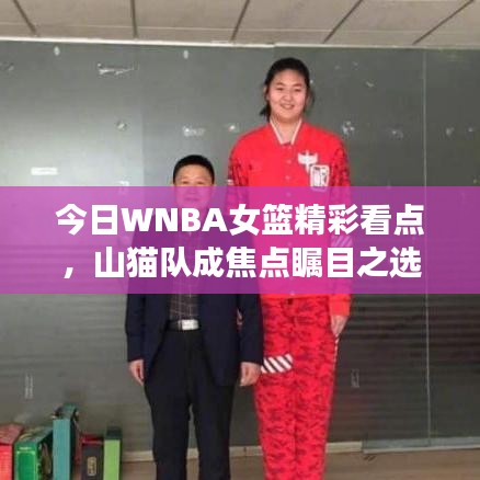 今日WNBA女篮精彩看点，山猫队成焦点瞩目之选