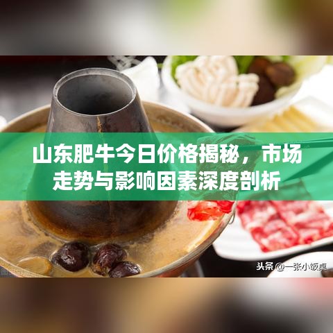 山东肥牛今日价格揭秘，市场走势与影响因素深度剖析