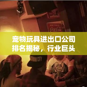 宠物玩具进出口公司排名揭秘，行业巨头与趋势展望