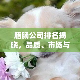 腊肠公司排名揭晓，品质、市场与消费者选择全解析