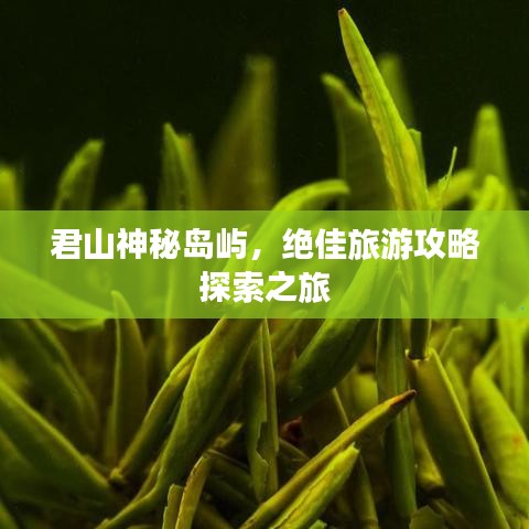 君山神秘岛屿，绝佳旅游攻略探索之旅