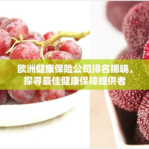 欧洲健康保险公司排名揭晓，探寻最佳健康保障提供者