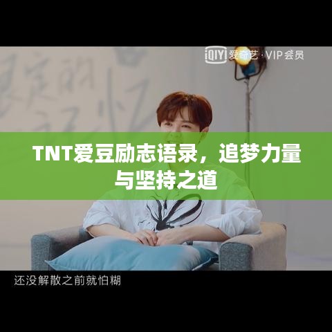 TNT爱豆励志语录，追梦力量与坚持之道