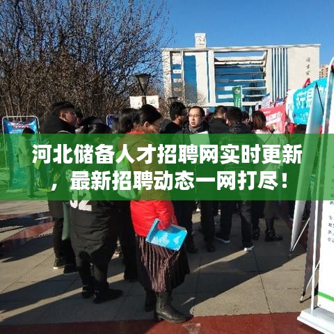 河北储备人才招聘网实时更新，最新招聘动态一网打尽！