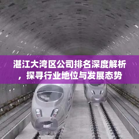 湛江大湾区公司排名深度解析，探寻行业地位与发展态势