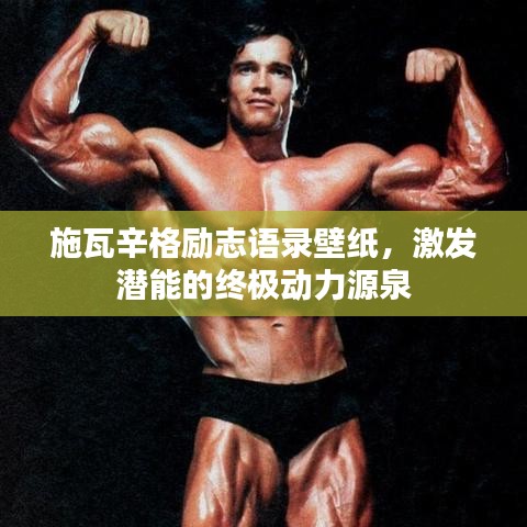 施瓦辛格励志语录壁纸，激发潜能的终极动力源泉