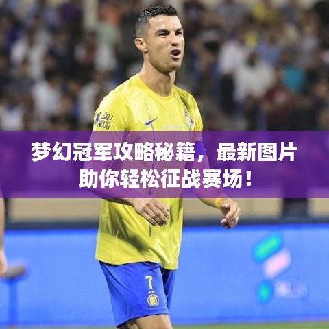 梦幻冠军攻略秘籍，最新图片助你轻松征战赛场！