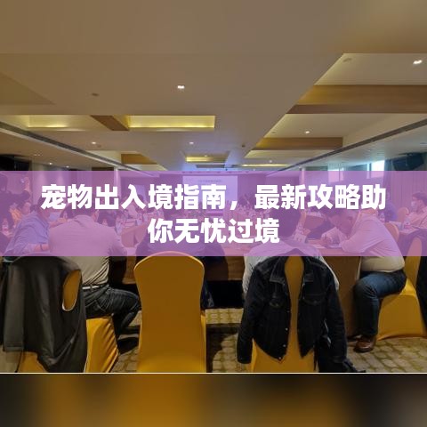 宠物出入境指南，最新攻略助你无忧过境