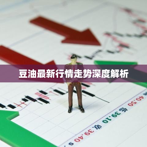 豆油最新行情走势深度解析