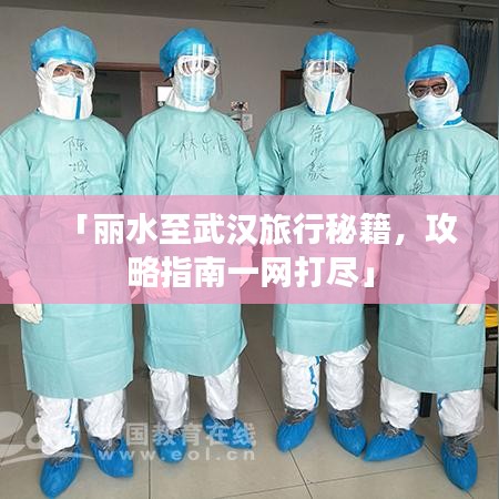 「丽水至武汉旅行秘籍，攻略指南一网打尽」