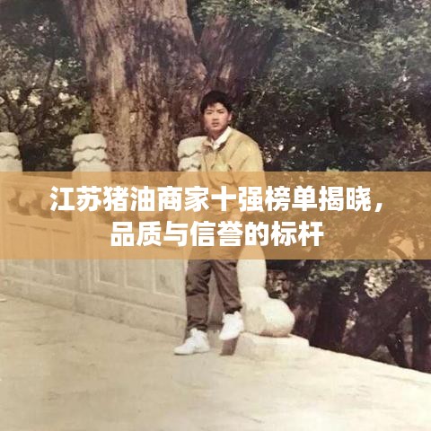 江苏猪油商家十强榜单揭晓，品质与信誉的标杆