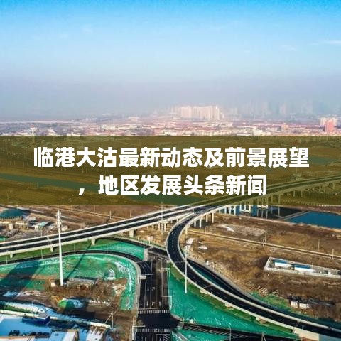 临港大沽最新动态及前景展望，地区发展头条新闻