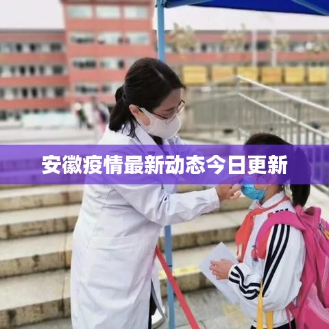 安徽疫情最新动态今日更新