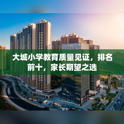 大城小学教育质量见证，排名前十，家长期望之选