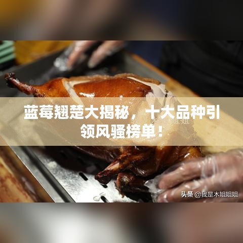 蓝莓翘楚大揭秘，十大品种引领风骚榜单！