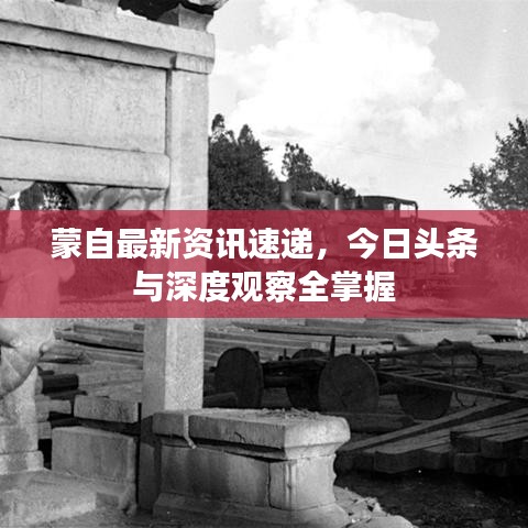 蒙自最新资讯速递，今日头条与深度观察全掌握