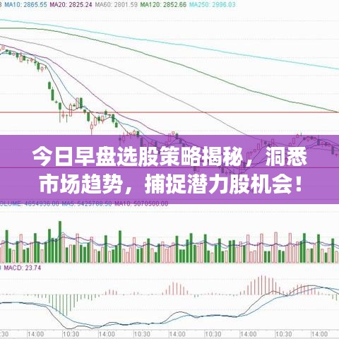 今日早盘选股策略揭秘，洞悉市场趋势，捕捉潜力股机会！
