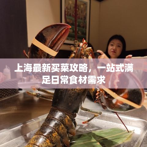 上海最新买菜攻略，一站式满足日常食材需求