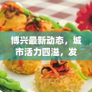 博兴最新动态，城市活力四溢，发展与社会动态更新不断